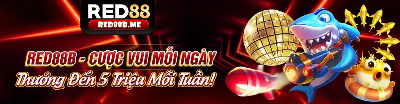 Hình ảnh quảng cáo ưu đãi mới nhất K8Vina