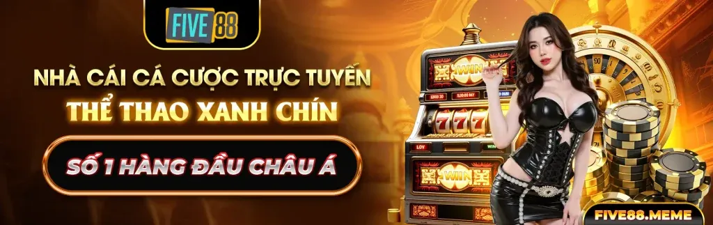 Hướng dẫn tận dụng lợi ích VIP K8Vina