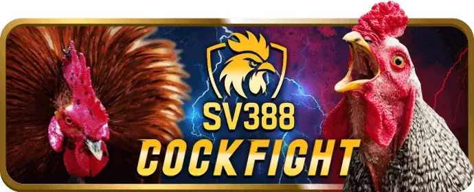 Chính sách cờ bạc có trách nhiệm K8Vina